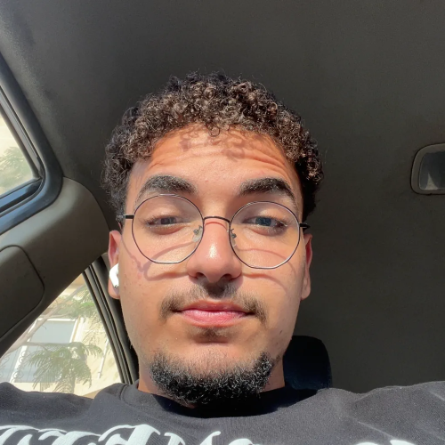 Amro Salah